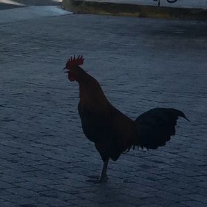 Meet your Posher, Michaela